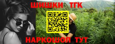 СК Тула
