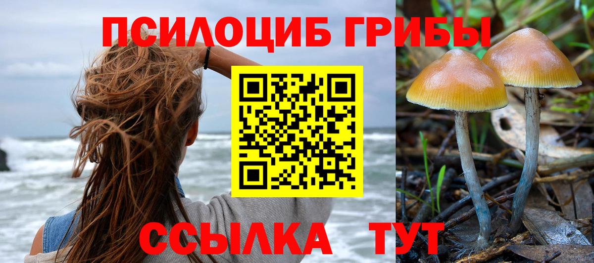 Орёл  Галлюциногенные грибы Cubensis  Вход с VPN 